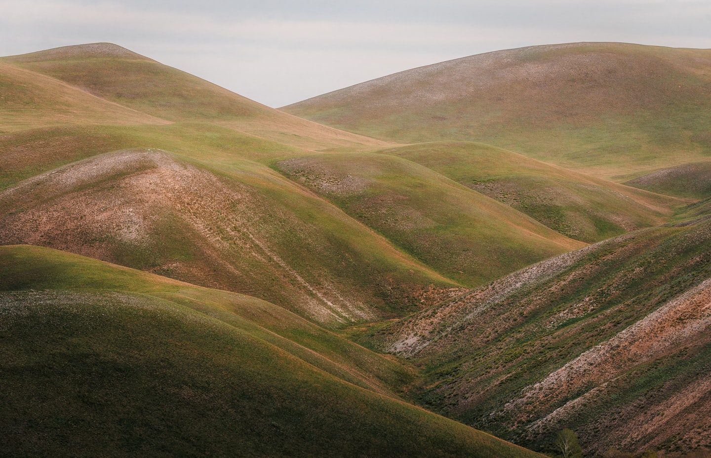 Rolling hills covered in green vegetation under an overcast sky.
